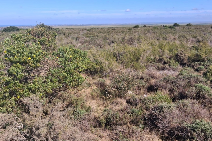 Commercial Property for Sale in Fountains Estate Eastern Cape